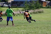 OTFL Gallery Image
